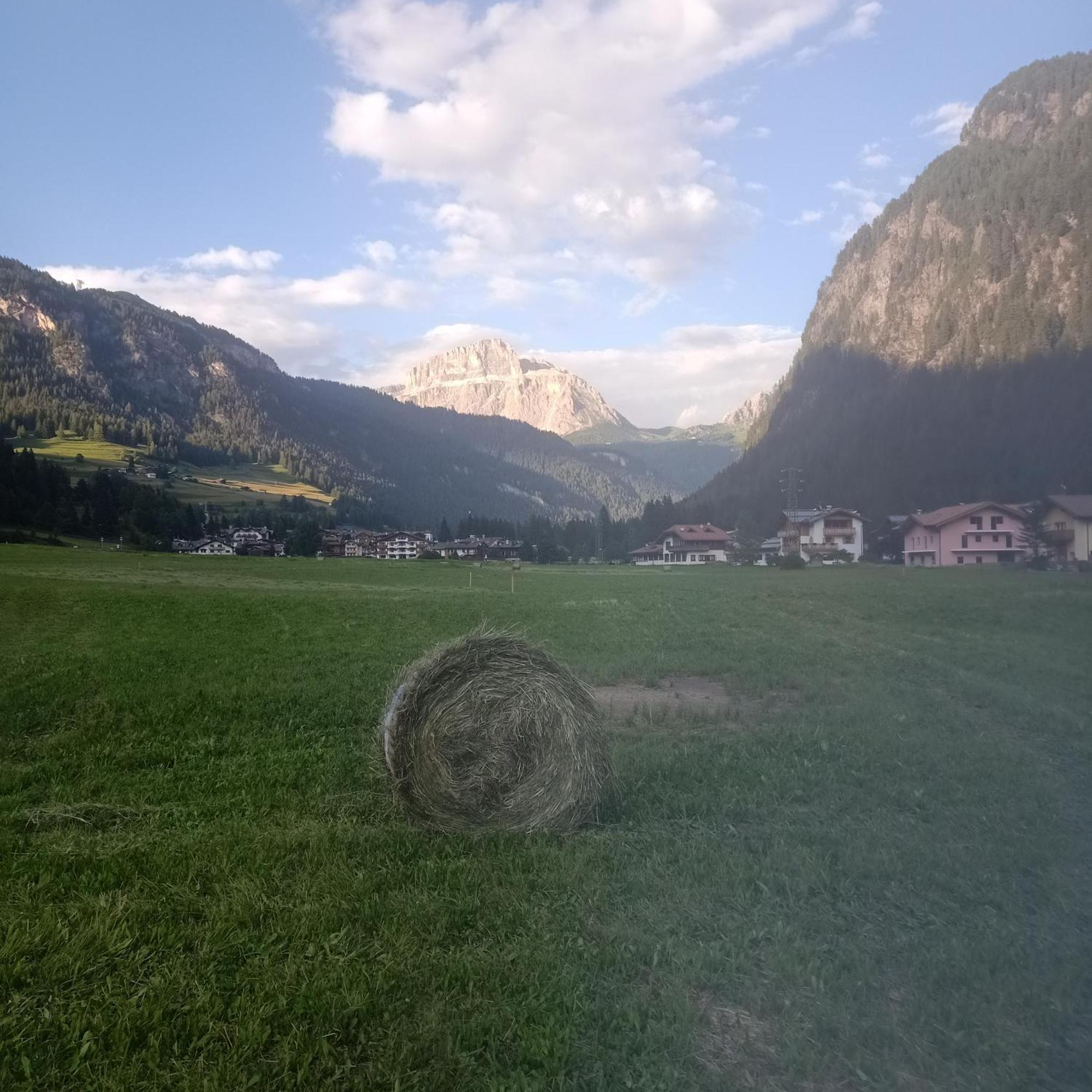 Casamau Studio Campitello di Fassa Exterior foto