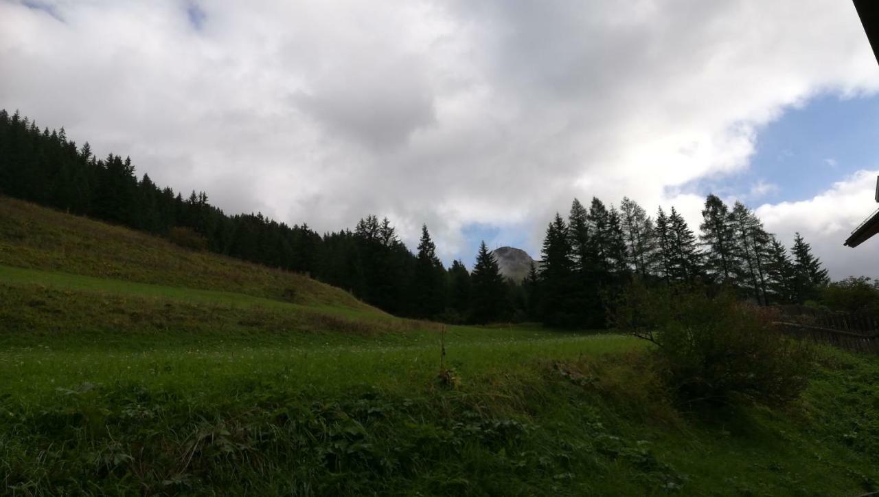 Casamau Studio Campitello di Fassa Exterior foto